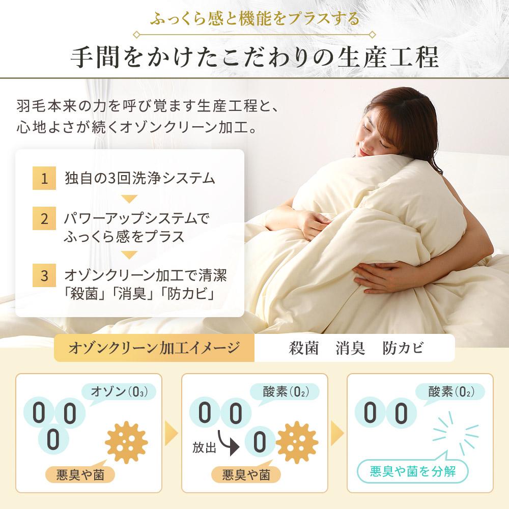 ロイヤルゴールドラベル 羽毛掛け布団 - テスト環境2